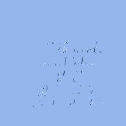 DryBlend 50/50 Long Sleeve T-Shirt w/ Back Name Option Design